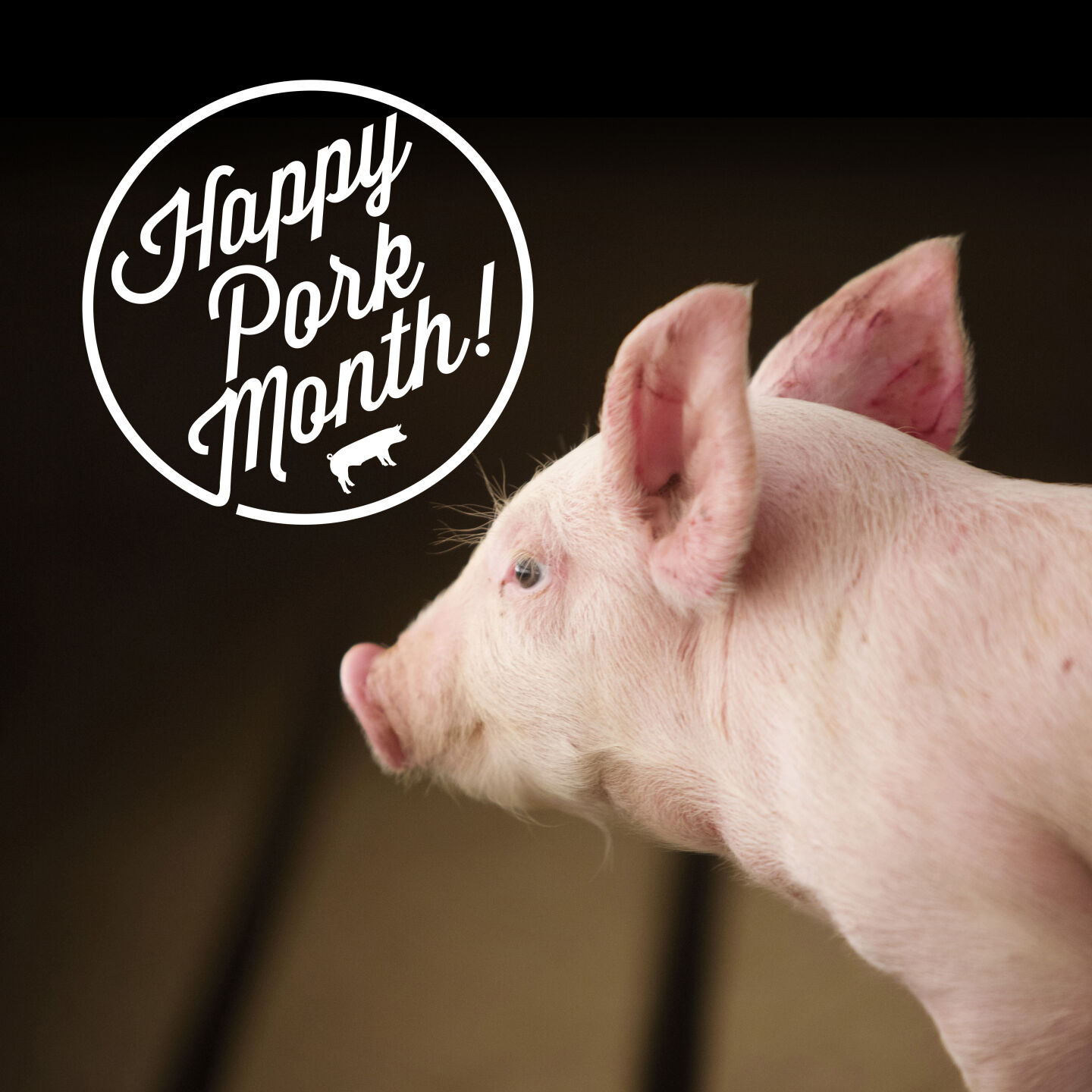 Pork Month promotions stretch from local schools to international markets
